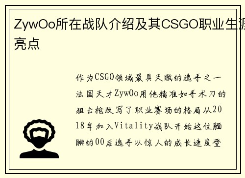 ZywOo所在战队介绍及其CSGO职业生涯亮点
